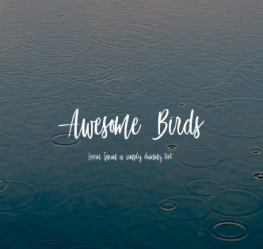 Awesome Bird Font