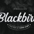 Blackbird Font