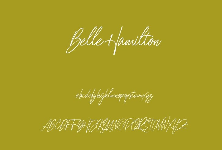 Belle Hamilton Font View