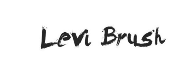 Levi Brush Font