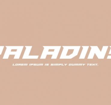Paladins Font