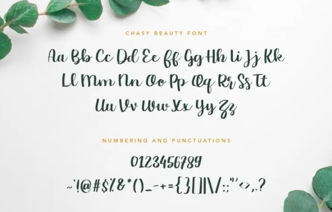 Chasy Font View