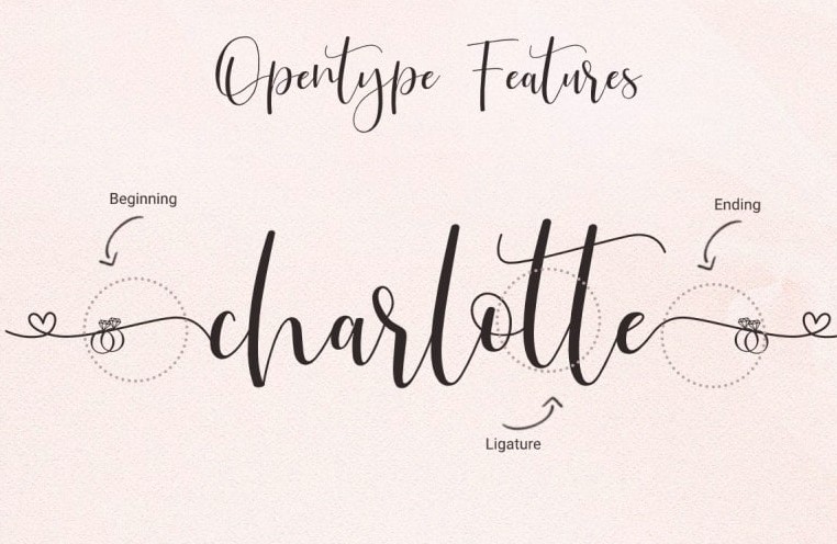 Just Love Calligraphy Script Font View