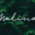 Malina Monoline Font