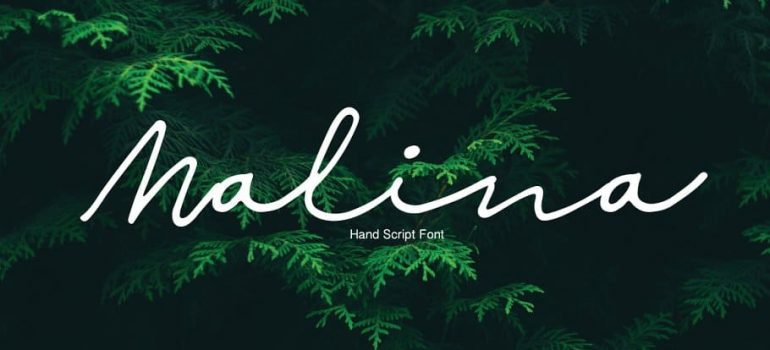 Malina Monoline Font