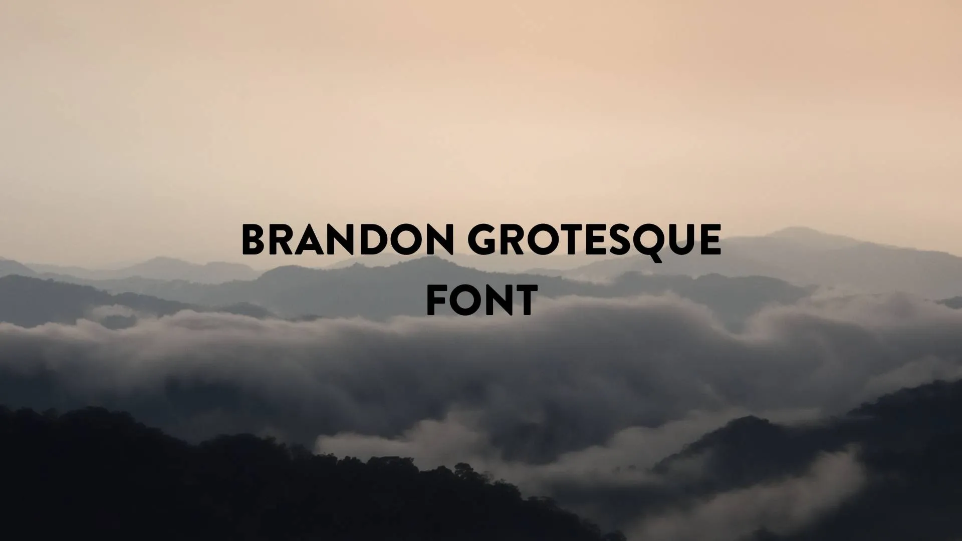 Brandon Grotesque Font