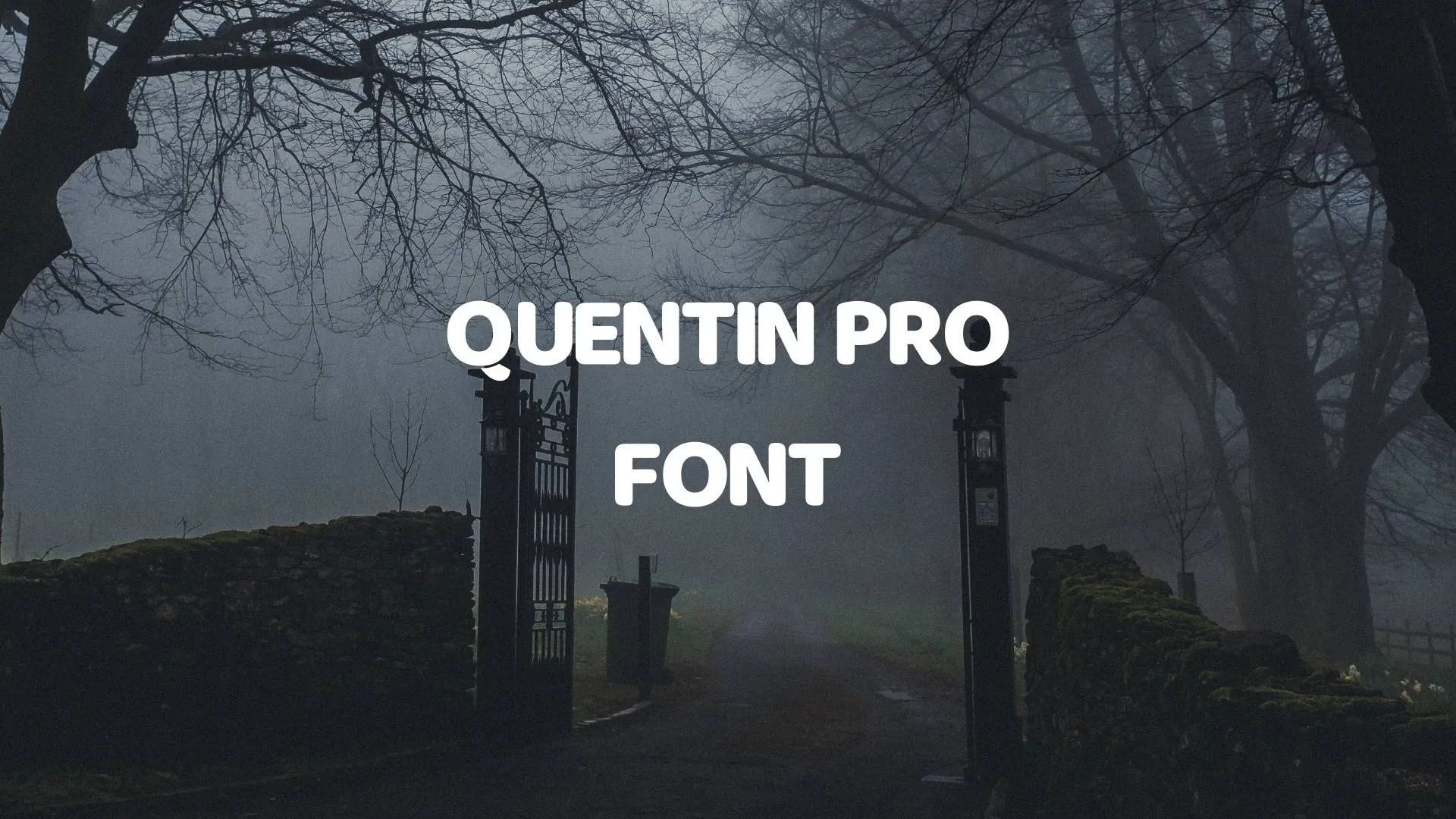 Quentin Pro Font