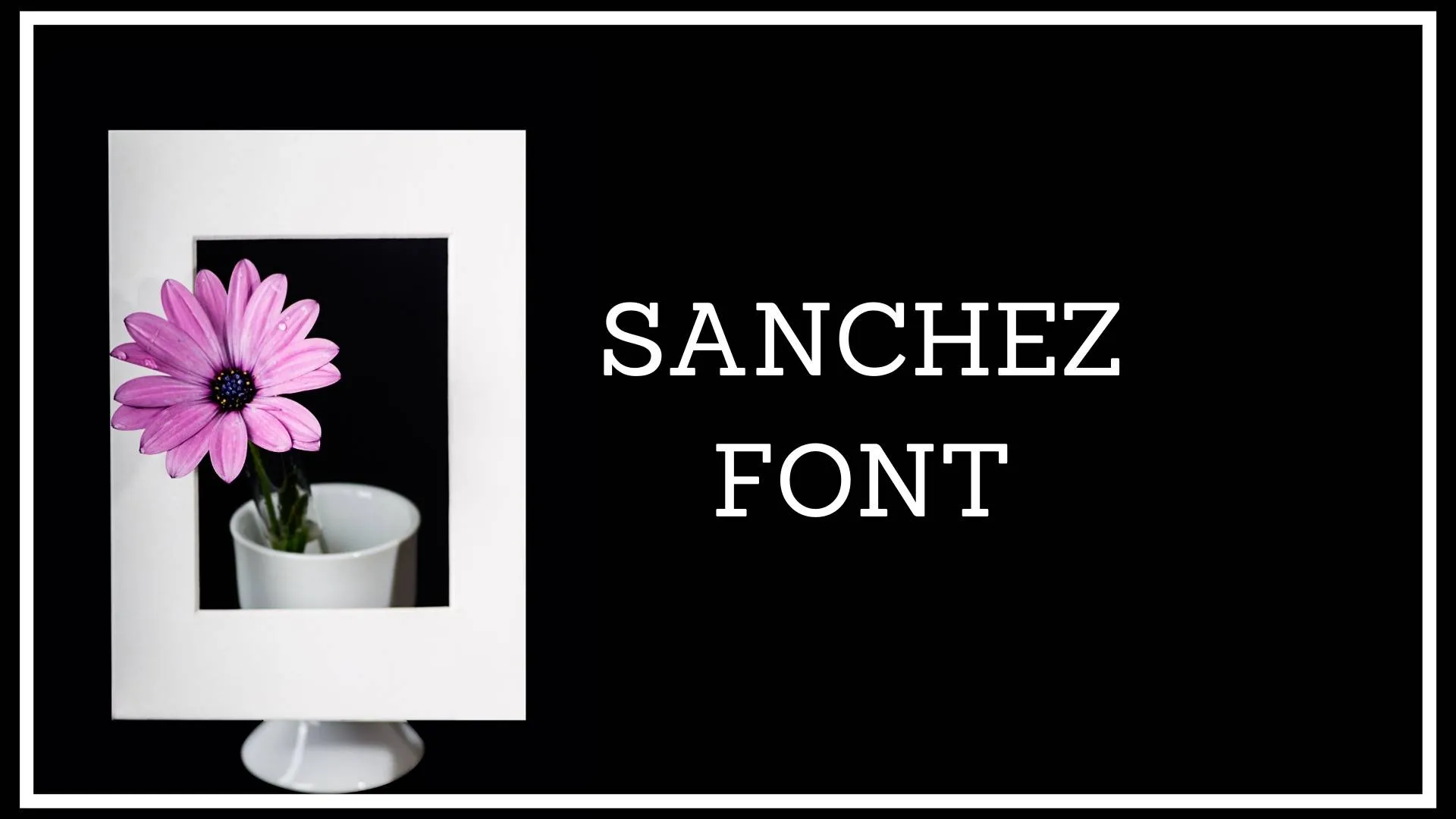 Sanchez Font