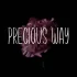 Precious Ways Font